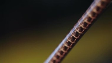 Kablo üretimi, kablo üretimi. Bakır kablo makro çerçeve