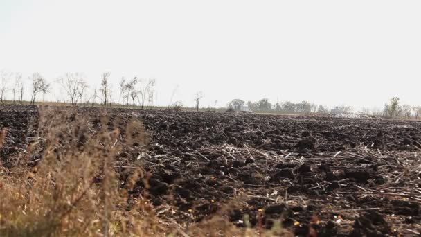 Excavated field after harvest. Field after harvest. — Stock Video