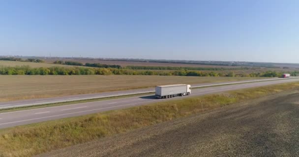 Er rijdt een vrachtwagen langs de snelweg. Zicht van een drone. De wagen rijdt langs een gebogen weg tussen de velden bovenaanzicht — Stockvideo