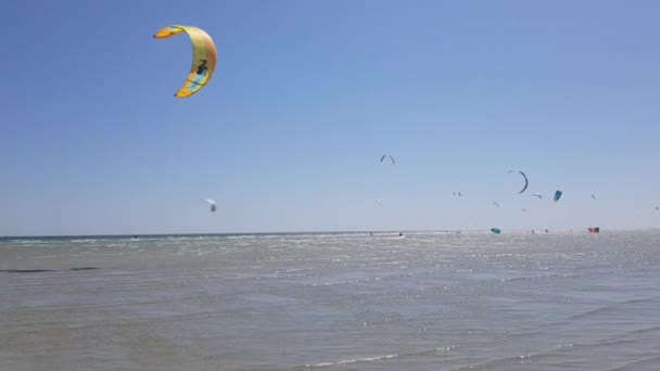 Kiteboardåkning till havs, många kiteboardåkare till sjöss. Människor utövar extrema sporter till sjöss — Stockvideo