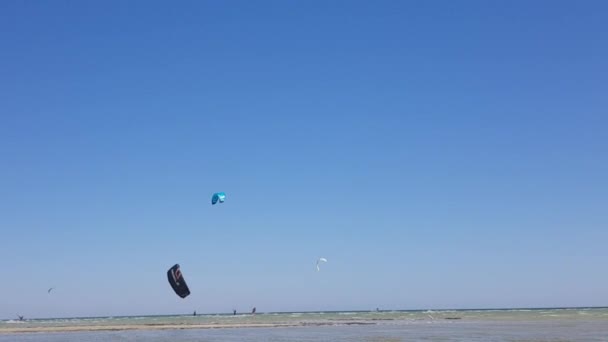 Drake ombordstigning, drake surfare till sjöss. Extrema vattensporter. Kiteboarding vatten kul — Stockvideo