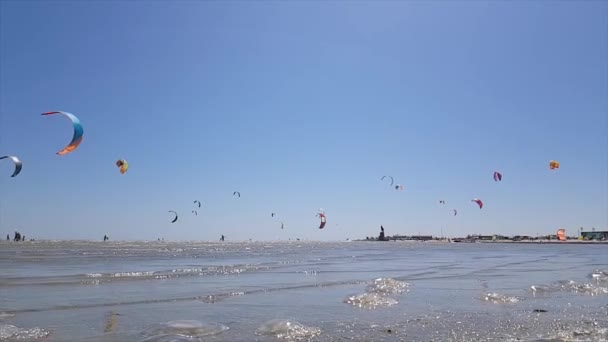 Kiteboarding di laut, banyak kiteboarders di laut. Orang berlatih olahraga ekstrim di laut — Stok Video