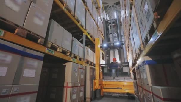 Большой промышленный склад, движение техники на складе, погрузчик переставляет коробки на складе — стоковое видео