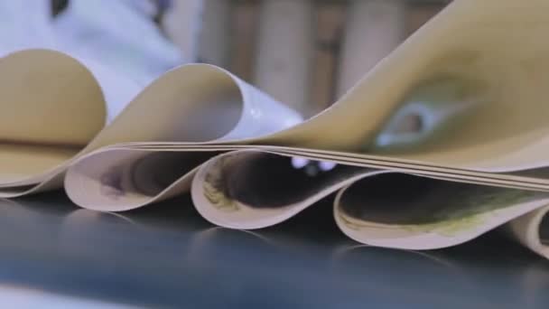 Wallpaper production, modern conveyor for wallpaper production — Stock Video