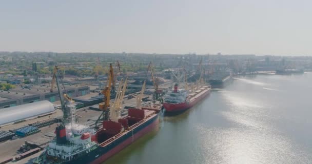 Velký přístav ze vzduchu. Nákladní lodě v přístavu — Stock video