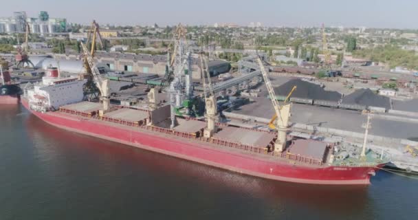 Trockener Frachter im Hafen. Hafenkran lädt Fracht in ein Trockenfrachtschiff — Stockvideo