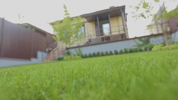 Zblízka na trávníku. Detailní záběr zeleného trávníku u domu. Jasně zelený trávník na trávníku v domě — Stock video