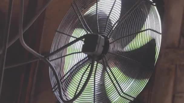 Průmyslové ventilátory zblízka. Systém cirkulace vzduchu v továrně. Rotace velkých ventilátorů v továrně — Stock video