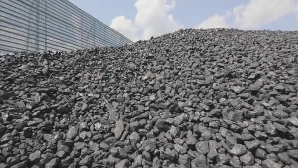 기업에서 코카인 오븐의 석탄 덩어리. 창고에 석탄을 나르고 있어. 회사에 있는 콜라 화덕 창고. — 비디오
