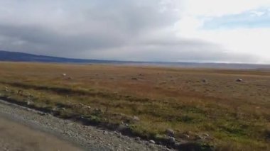 Patagonya 'nın doğası, Şili' nin geniş patagonya alanları
