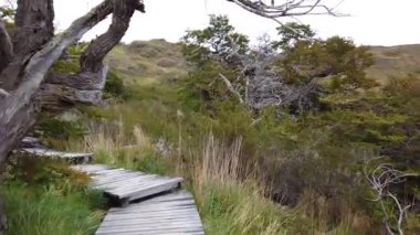 Payne Grande Dağı, Şili 'deki Nordenskjold Gölü, Patagonya. Payne Grande Dağı manzarası