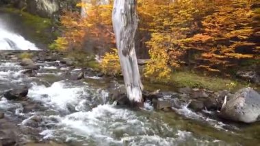 Şelale Chorrillo del Salto El Chalten, Arjantin yakınlarında