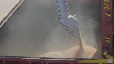 Buğday tankerine, buğdaylı bir gemiye yüklüyorlar. Bir kargo gemisine tahıl yüklüyorum.