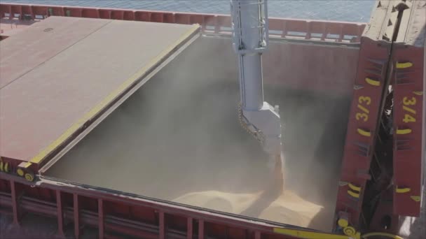 밀을 유조선에 싣고, 밀을 실은 배에 실었습니다. 화물선에 곡식을 싣는 모습 — 비디오