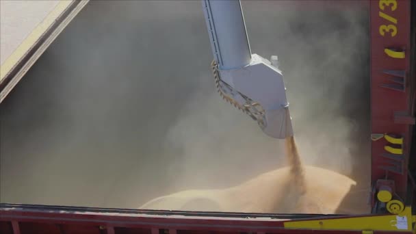 Loading grain into a cargo ship for transportation by sea. The ship is loaded with wheat in the port. Wheat export. Sea export. Agriculture — Stock Video