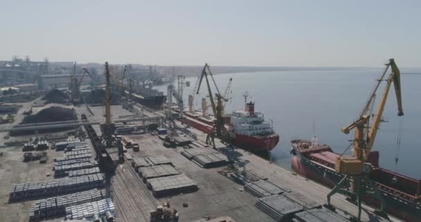 Volando sobre un gran puerto industrial. Puertos industriales internacionales, grúas y buques de carga — Vídeos de Stock