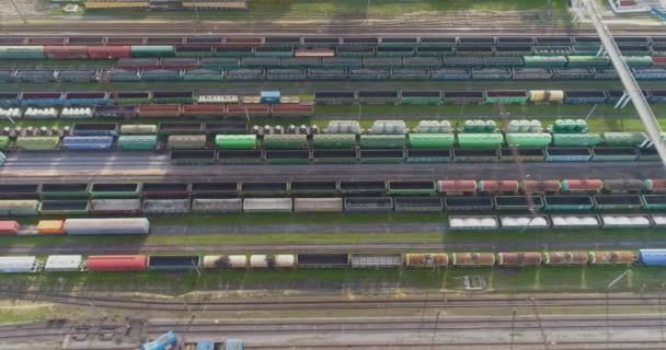Nákladní vlaky shora dolů. Spousta nákladních vlaků nahoře. Létání nad nádražím s nákladními vlaky — Stock video