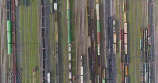 Gran intercambio ferroviario con trenes de mercancías vista superior. Vista superior de trenes de mercancías en un cruce ferroviario. Volando sobre trenes en el depósito — Vídeo de stock
