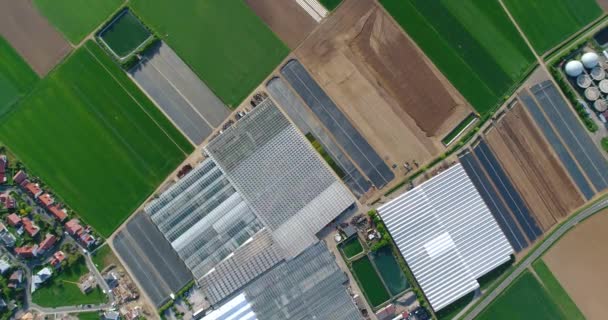 Grande estufa moderna, um grande complexo agrícola, voando sobre uma estufa cercada por campos verdes — Vídeo de Stock