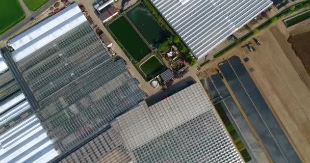 Grande serre moderne, un grand complexe agricole, survolant une serre entourée de champs verts — Video