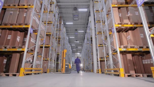 Lavoratori in un grande magazzino industriale, lavoro nel magazzino aziendale — Video Stock