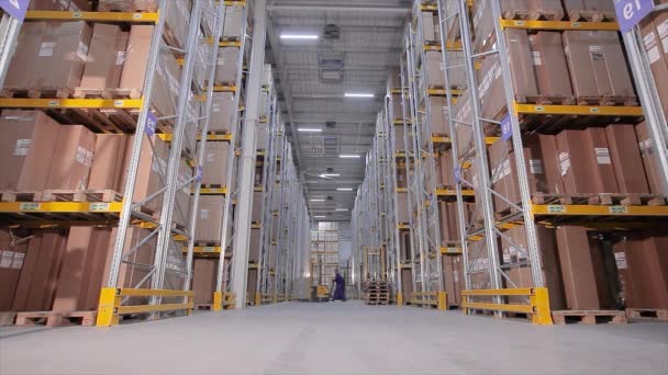 Stort lagerarbetsflöde, lagerutrustning på jobbet, arbetare i ett stort lager — Stockvideo