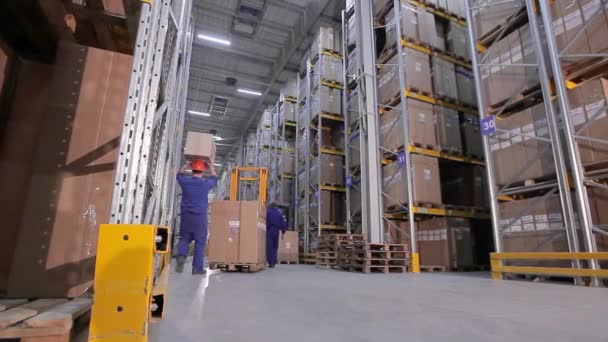 Ένας εργαζόμενος μεταφέρει φορτίο σε ένα σύγχρονο περονοφόρο σε μια αποθήκη. Εργασίες σε μεγάλη αποθήκη — Αρχείο Βίντεο