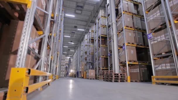 Grande magazzino in fabbrica, i lavoratori sciolgono le merci nel magazzino, molte scatole nel magazzino — Video Stock