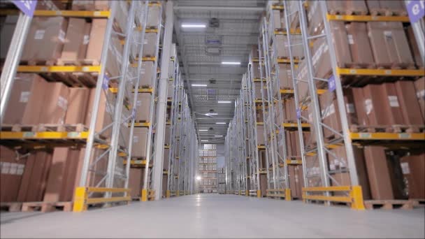 倉庫内のワークフローのタイムラプス、倉庫内の大型機械、倉庫内の近代的なフォークリフト — ストック動画