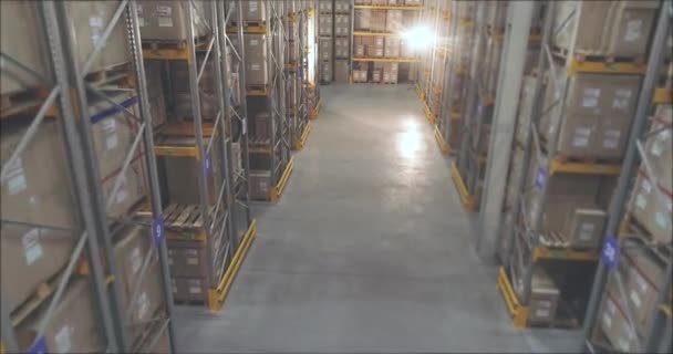 Många människor arbetar i lager. Panoramautsikt över ett modernt lager, många människor gör arbetet — Stockvideo