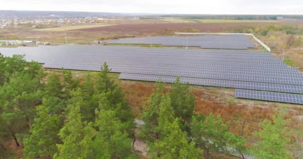 Fazenda solar perto da floresta, uma grande estação solar perto da floresta — Vídeo de Stock