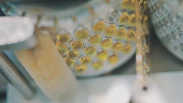 Manufacture of tablets in a gelatinous shell close-up. Production of tablets in a modern factory. Drug Manufacturing Process In Factory Conveyor Line With Tablet — Stock Video