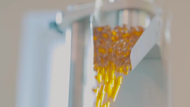 의약품 과 의약품의 생산. 컨베이어 라인의 젤라틴 캡슐, 생산중인 많은 노란색 젤라틴 캡슐 — 비디오