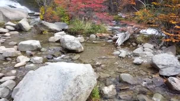 Cascade Chorrillo del Salto, Argentine. Cascade Chorrillo del Salto à l'automne — Video