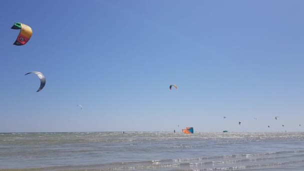 Kite boarding, Kite surfer en el mar. Deportes acuáticos extremos. Kiteboarding diversión acuática — Vídeo de stock