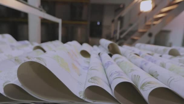 Línea transportadora de producción de papel pintado, planta de producción de papel pintado, planta de producción de papel pintado moderna — Vídeos de Stock