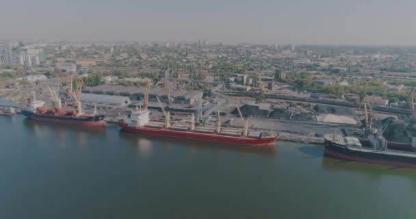 Massengutfrachter im Seehafen, Schiffe für den Transport von Massengütern Generalplan — Stockvideo