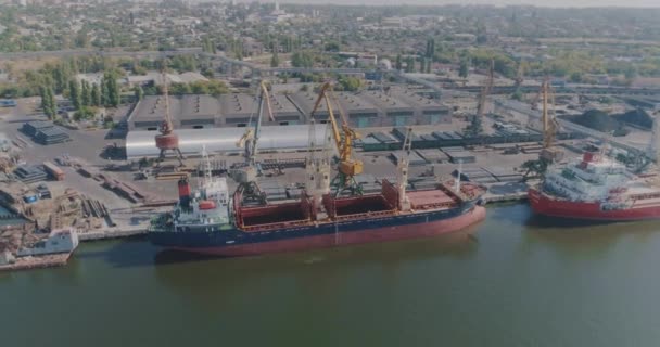 Port Crane laadt vracht in een droog vrachtschip. Droogvrachtschip in de haven — Stockvideo