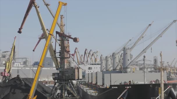 Grues plus grandes dans le port, les grues chargent des matériaux en vrac. Le travail des grues dans le port maritime — Video