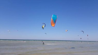 Deniz kenarında bir sürü uçurtma sörfçüsü var. İnsanlar ekstrem sporlara bulaşmış. Deniz kıyısında uçurtma.
