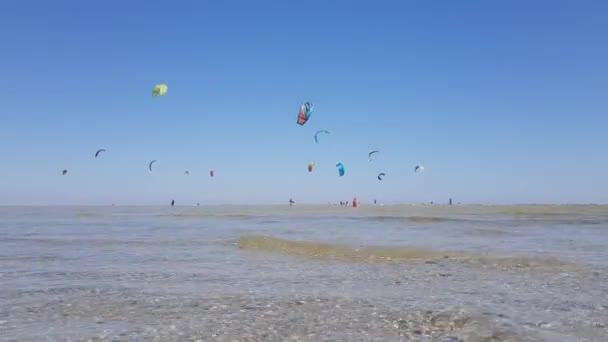 Hay muchos surfistas de cometas en la costa. La gente está involucrada en deportes extremos. Kite boarding junto al mar — Vídeos de Stock