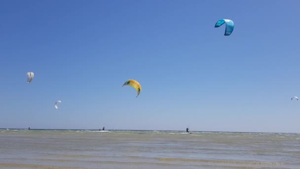 Nástup draka, surfař draka na moři. Extrémní vodní sporty. Kiteboarding vodní zábava — Stock video