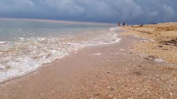 Meduzy na wybrzeżu. Meduzy wyrzucone na brzeg — Wideo stockowe