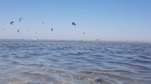 Kiteboarding auf See, viele Kiteboarder auf See. Menschen treiben Extremsport auf See — Stockvideo