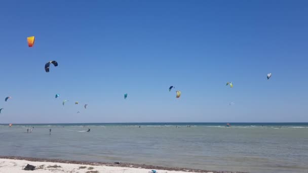 Ombordstigning till sjöss. Folk kitesurfar. Kite surfare i havet — Stockvideo