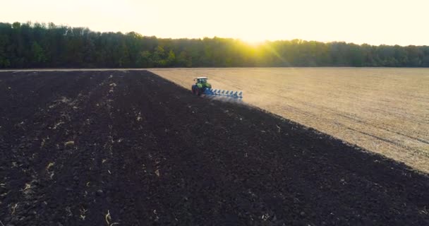 De trekker werkt in het veld. Hij vloog over een tractor die in het veld werkte. Tractor ploegt het veld vanuit de lucht. Vlieg over het veld met een tractor — Stockvideo