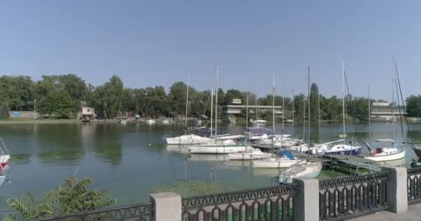 Lirs with sailing boats. Sailing yachts are moored to the pier. Moored yachts top view. Fly over sailing boats — Stock Video