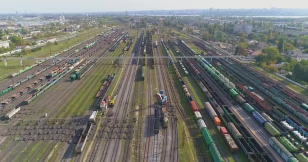 Large Train depot top view. Many freight color trains in the railway depot — Stock Video