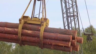 Taşıyıcıdaki kayıtlar yükleniyor, vinç taşıyıcıdaki kayıtları yüklüyor