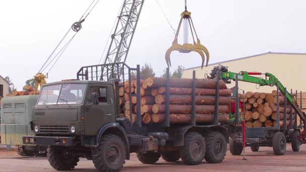Scarico di un camion di tronchi con una gru, scarico di tronchi in segheria, flusso di lavoro in una segheria — Video Stock